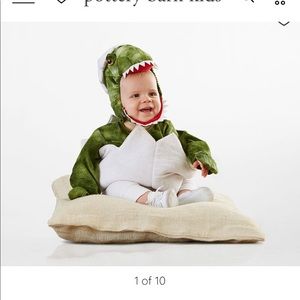 Pottery Barn Dino Costume 12-24 Month